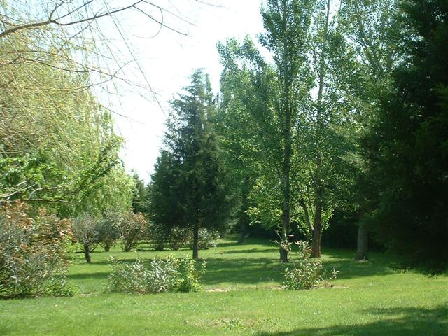 Le jardin.jpg